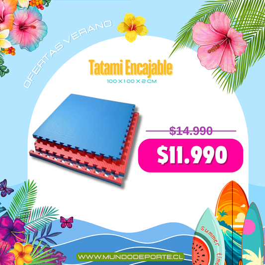 Tatami Profesional Encajable 100x100x2 CM