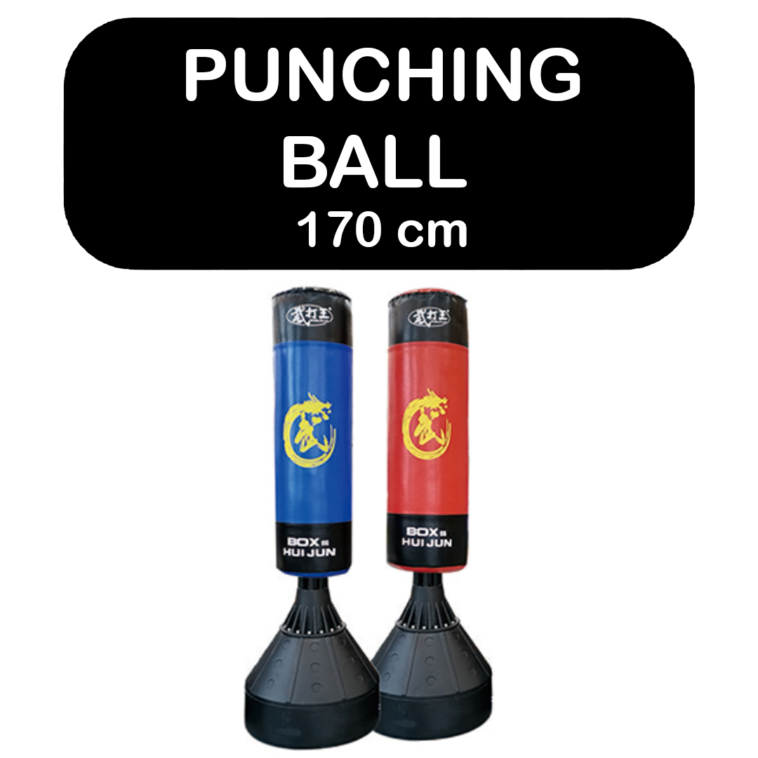 Punching Ball 170 cm